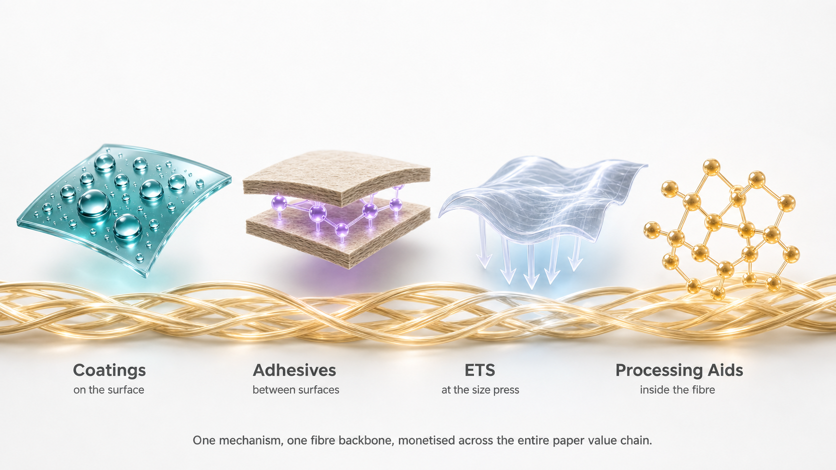 One core, four product families. Building blocks: silica, MFC, fatty acids, natural elastomer. Recombined into Coatings (surface), Adhesives (between surfaces), ETS (size press) and Processing Aids (inside the fibre).